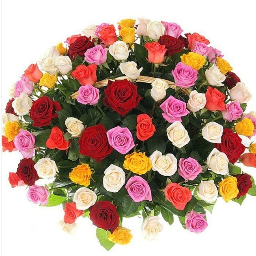 Корзина: 51 роза микс (b1255)