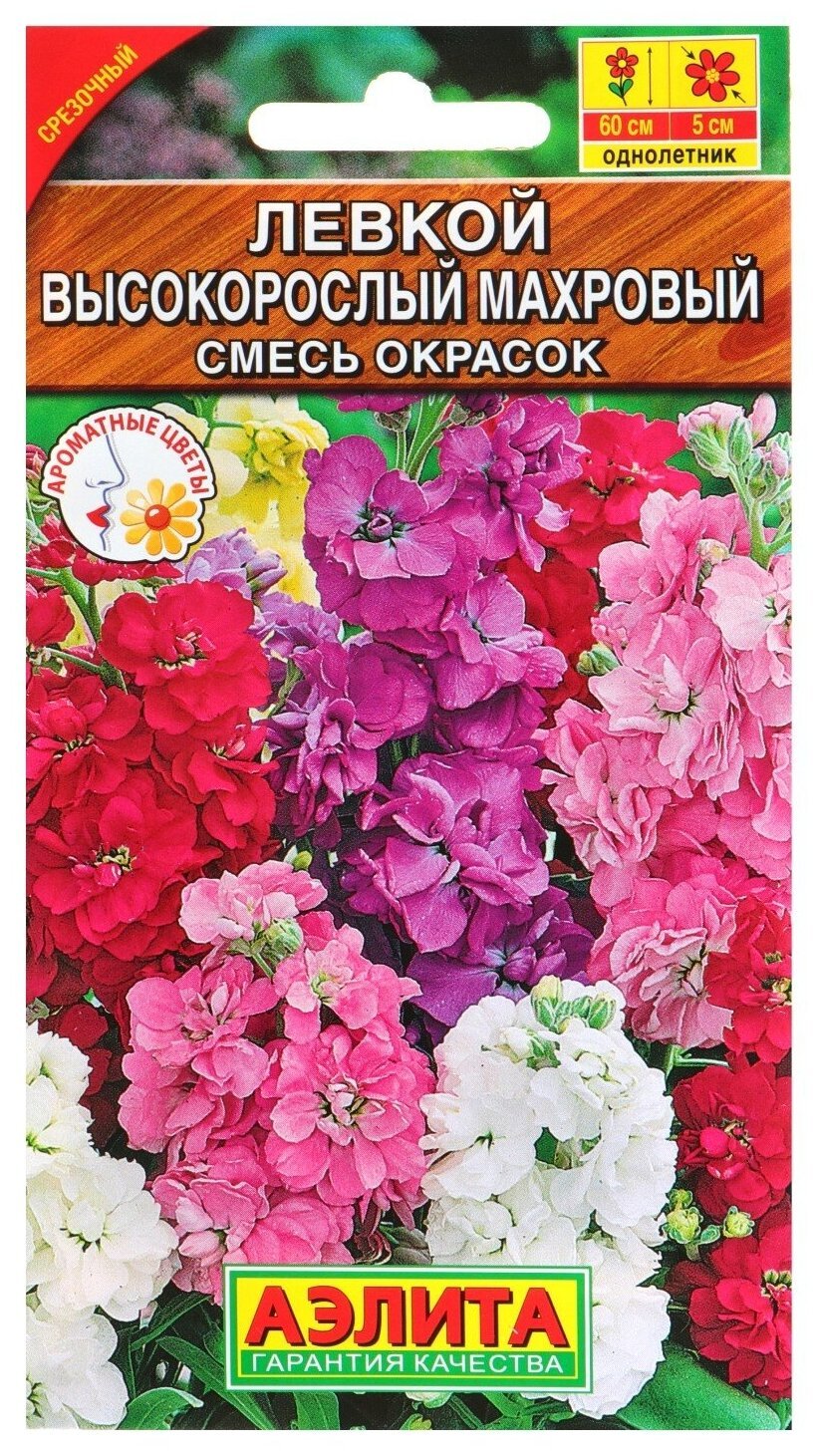 Маттиола Кац Еллоу