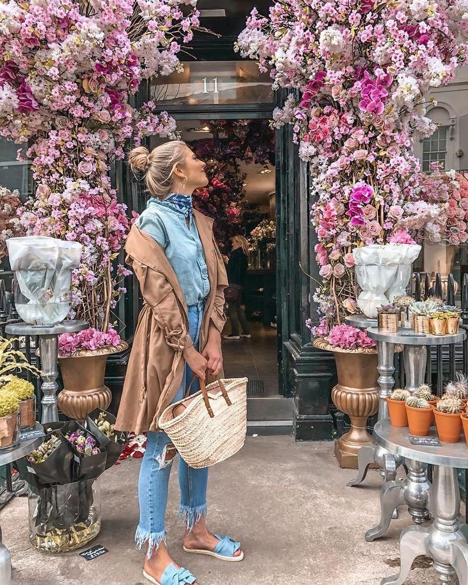 Роза Notting Hill