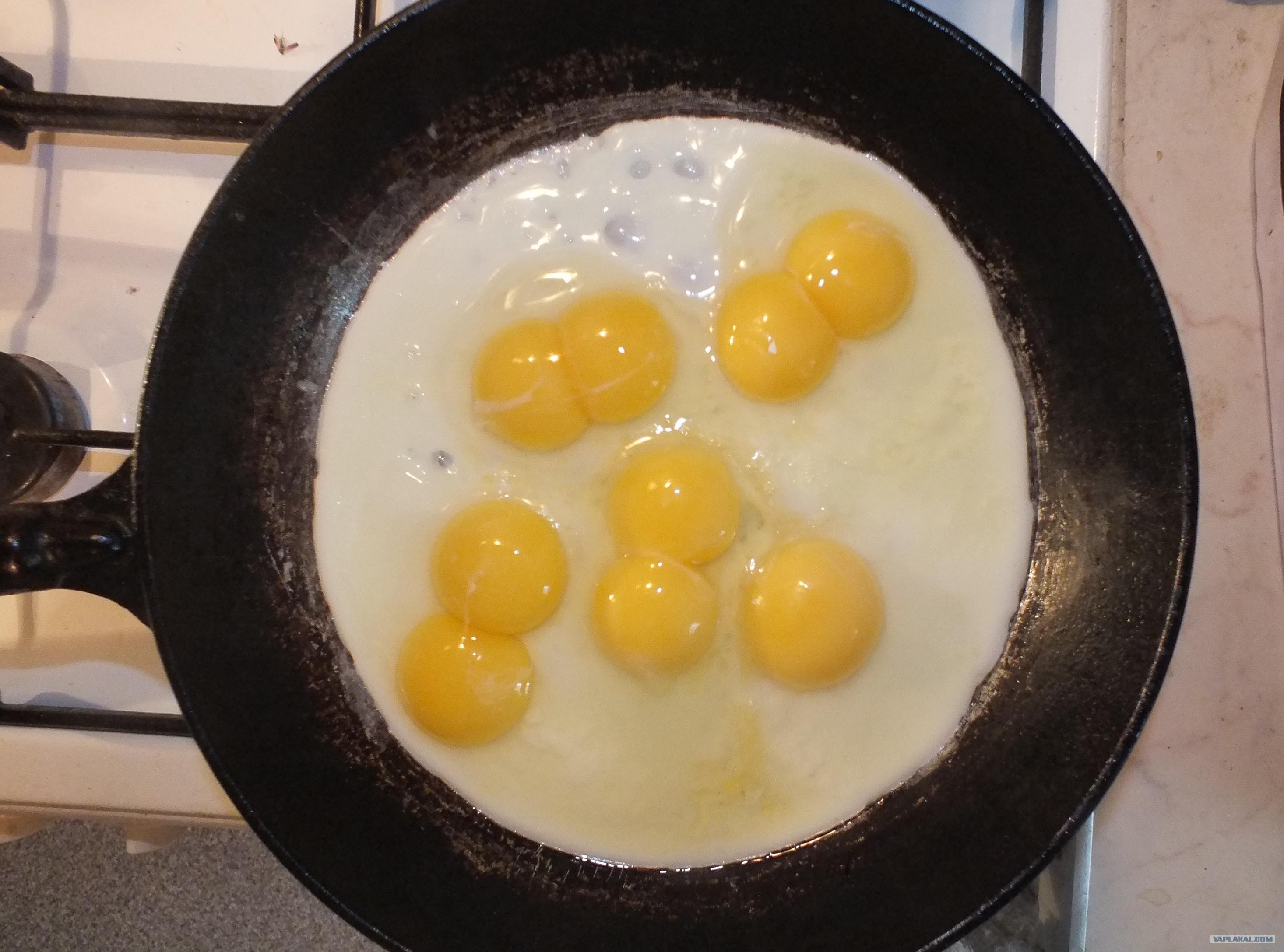 Глупые яйца. Яичница 5. Трехжелтковые яйца. Двухжелтковое яйцо. Фотожаба желтки.