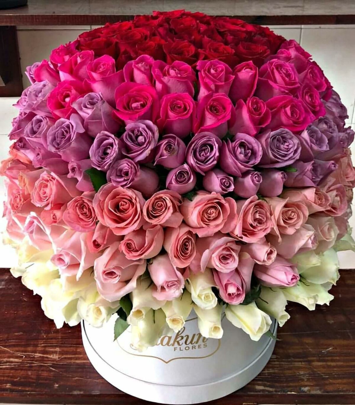 Красивые цветы