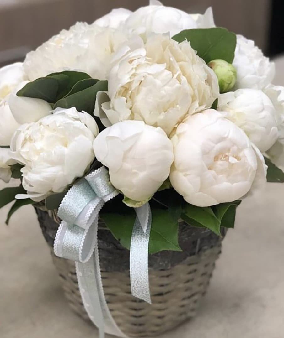 Пион Bouquet perfect