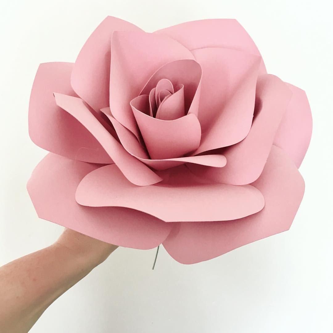 Цветы розовые для макета
