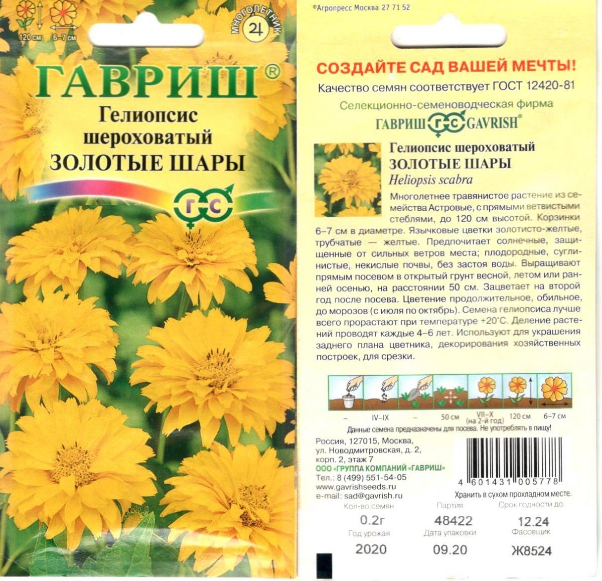 Гелиопсис золотые шары Гавриш