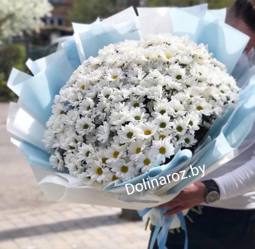 Букет из садовых ромашек