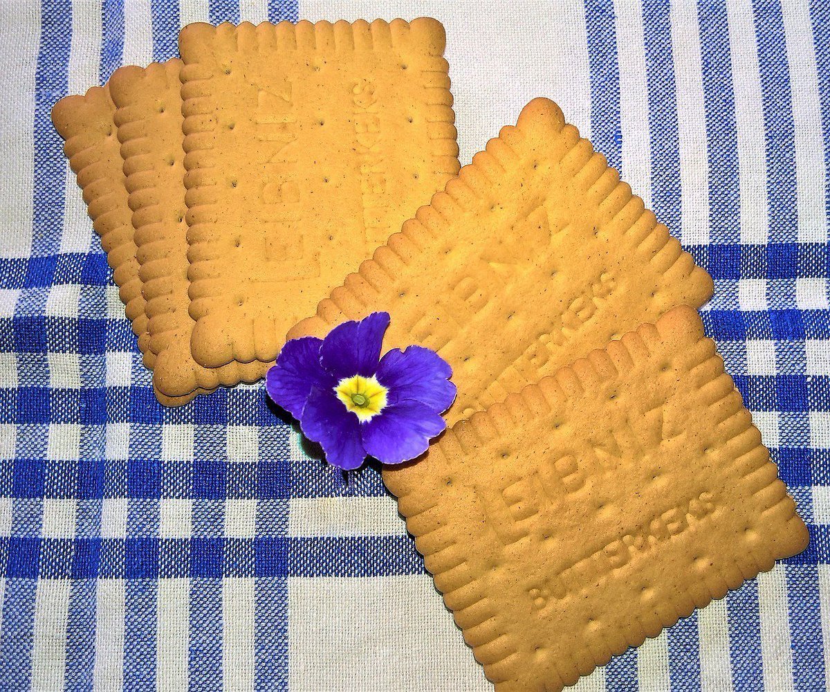 Печеньки квадратные