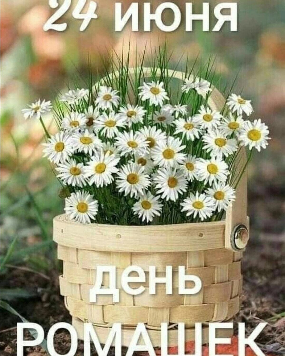 9 Июля 2021 года праздник Давид земляничник