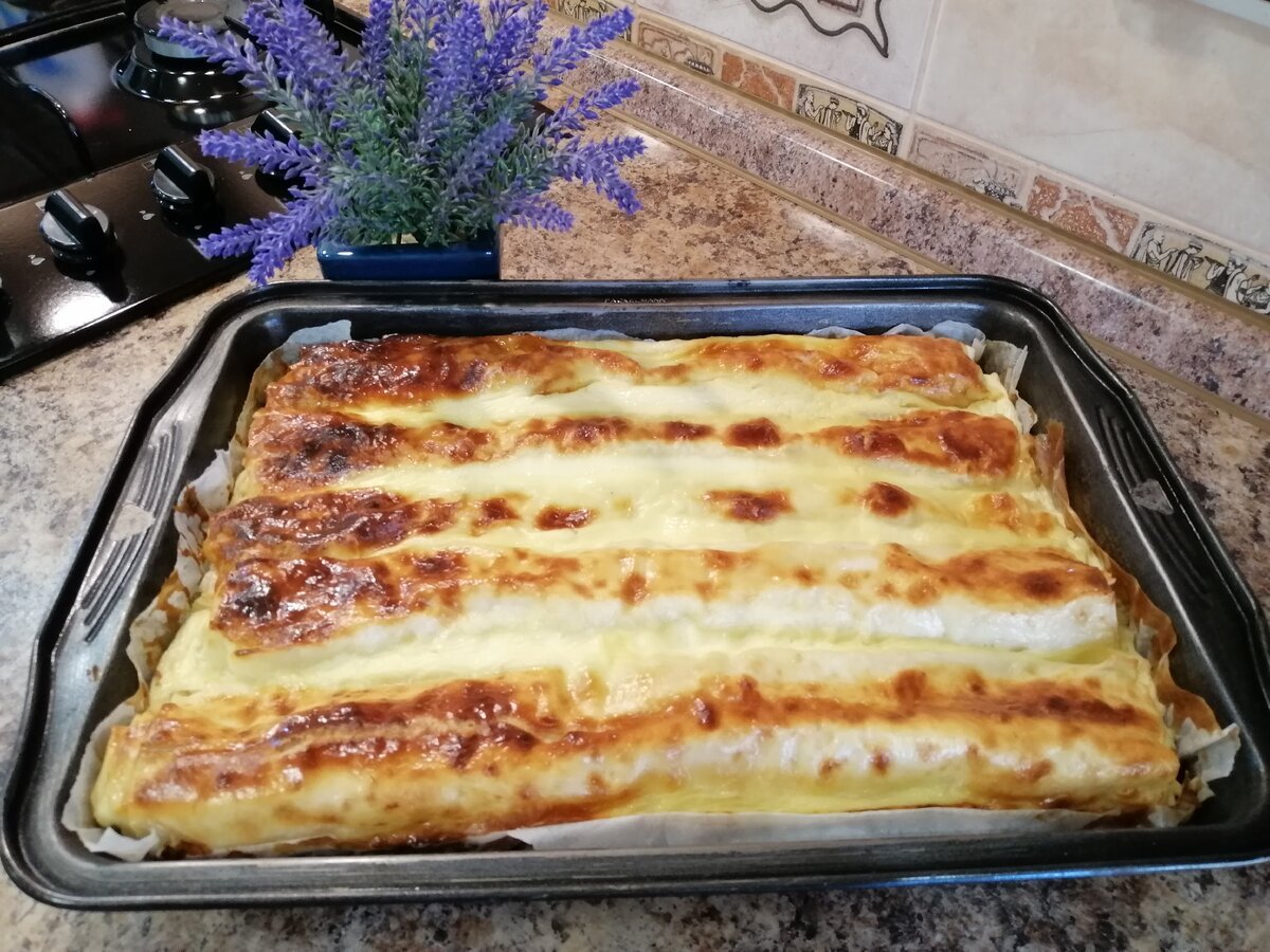 Ачма Кавказская