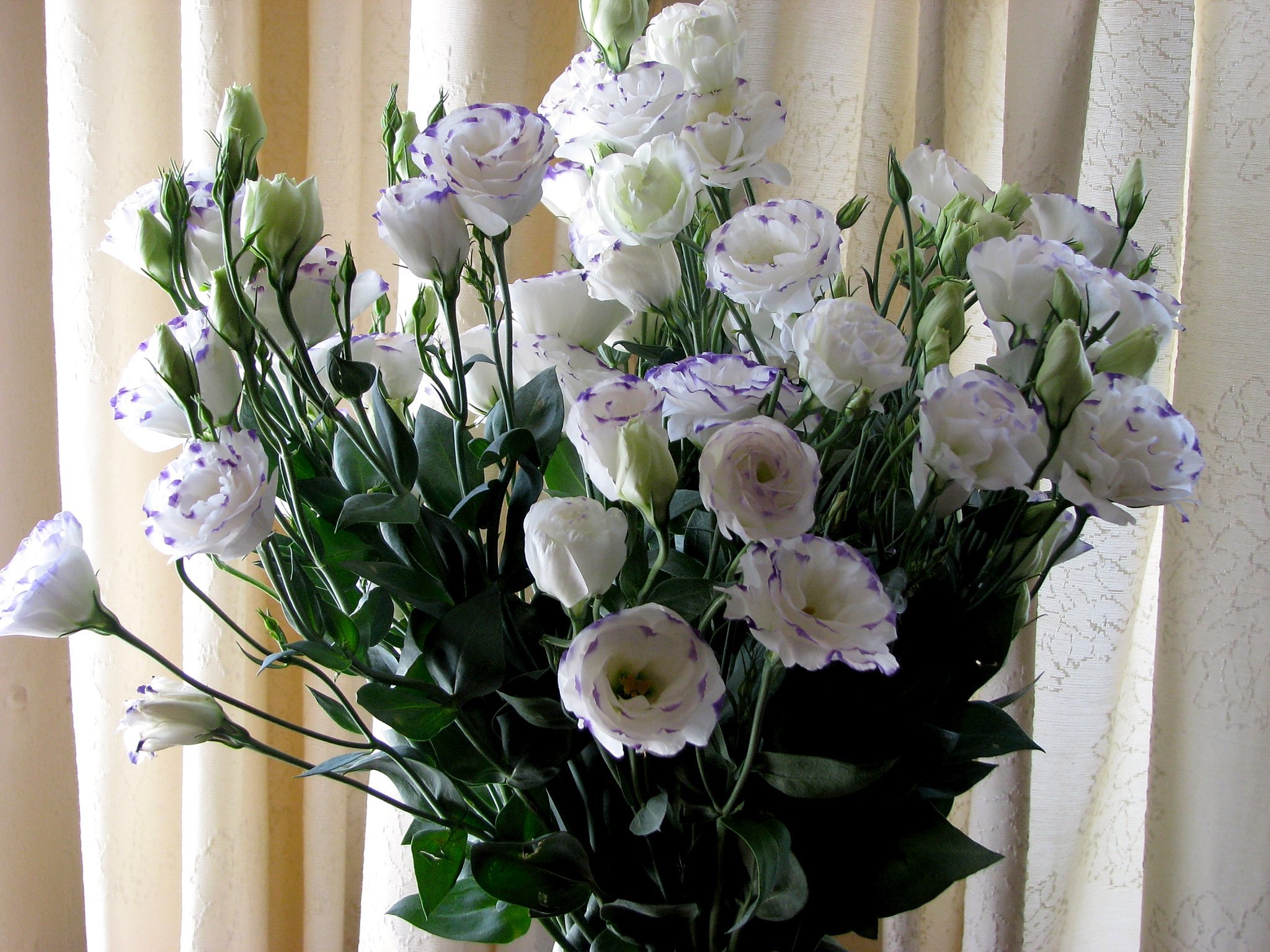 Розы быстро вянут в вазе. Эустома (Lisianthus). Эустома лизиантус букет. Эустома лизиантус белая.