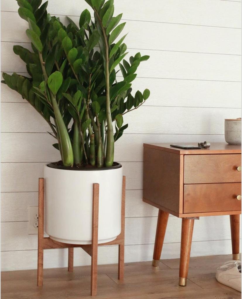 Суккуленты ikea