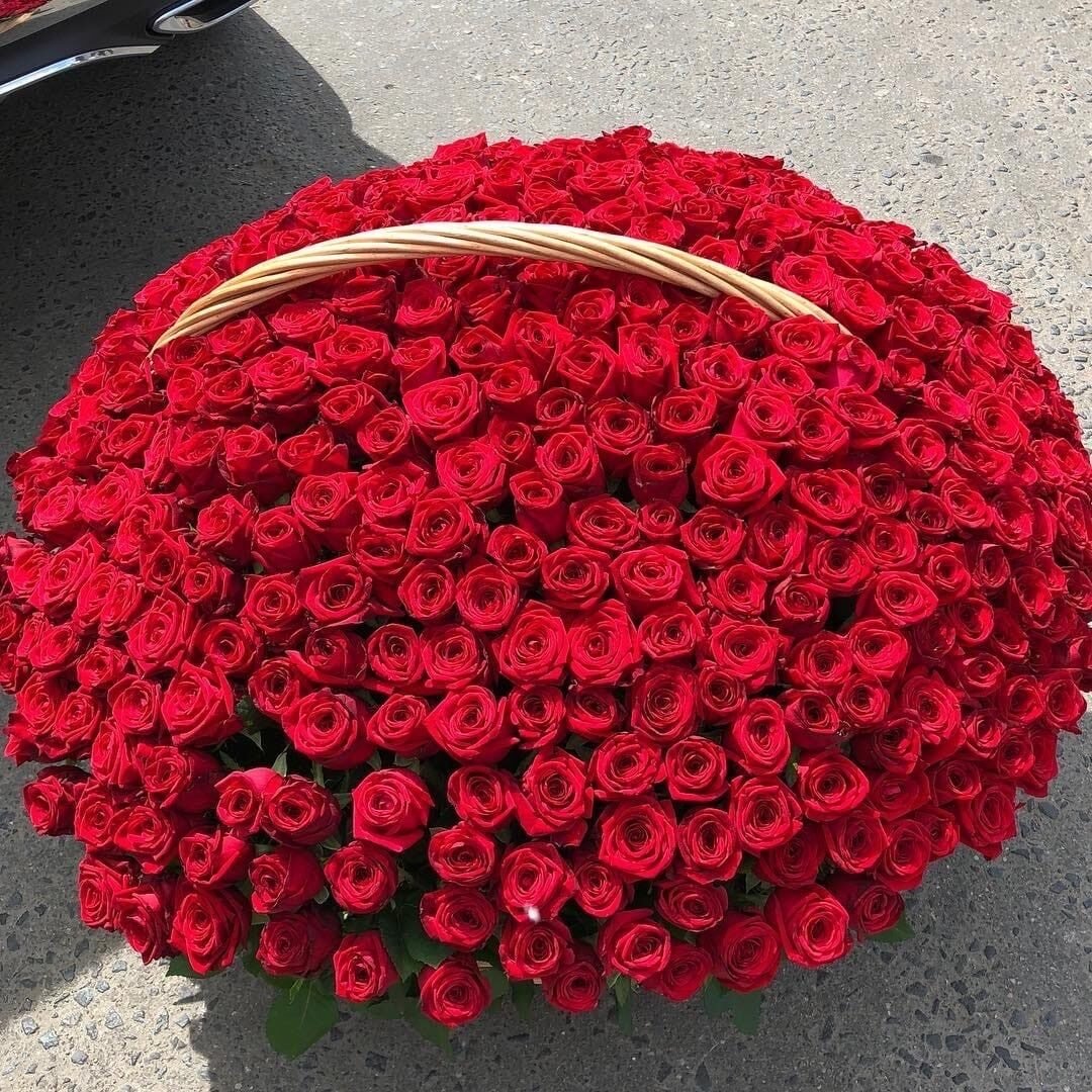 Самый огромный букет