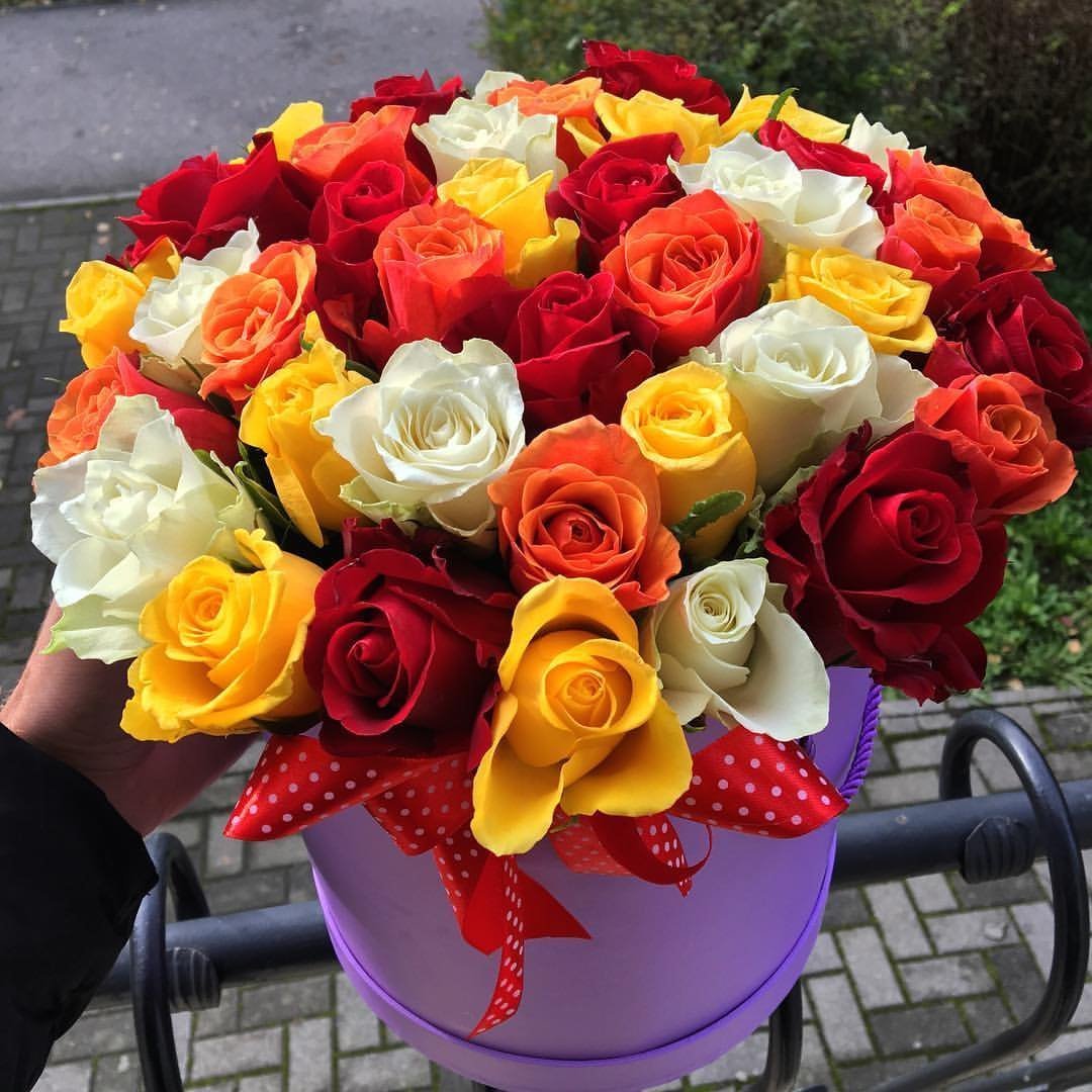 51 Пионовидная роза разных цветов