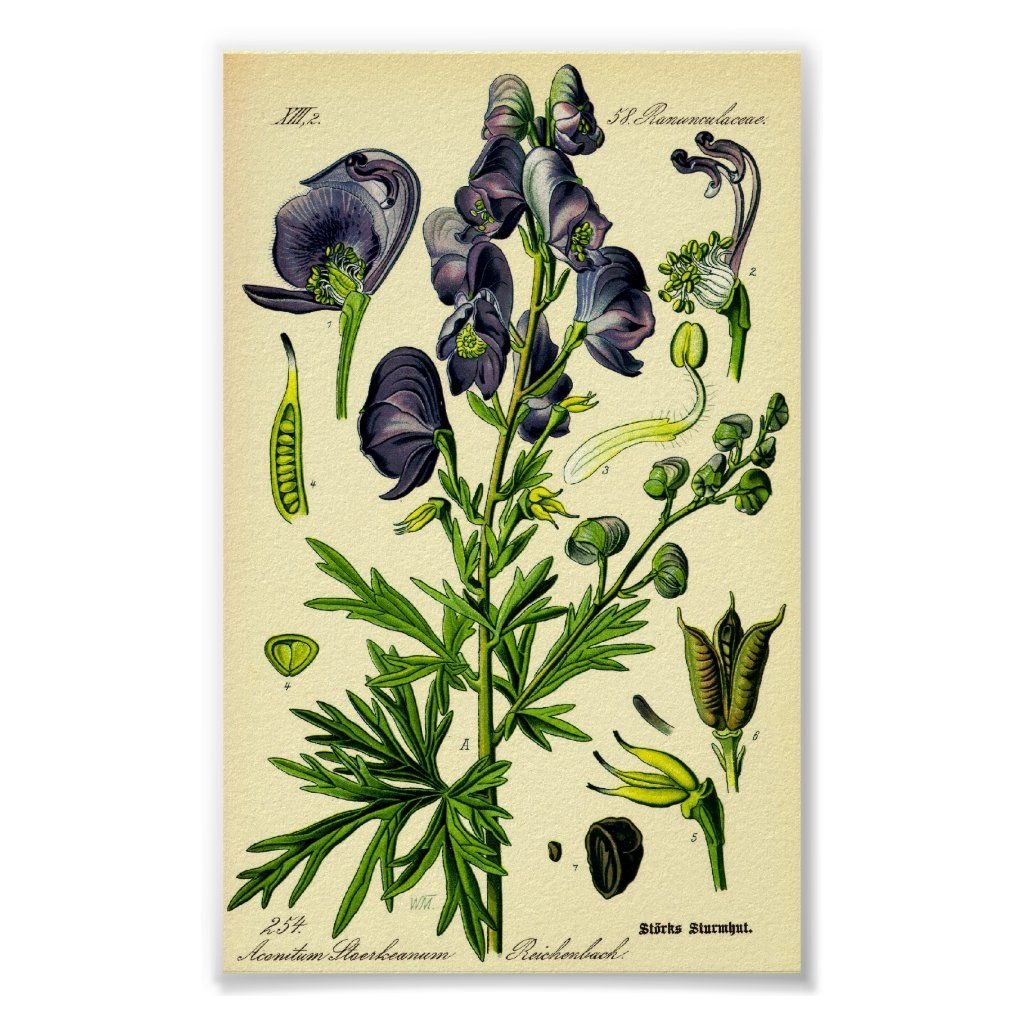 Wolfsbane перевод