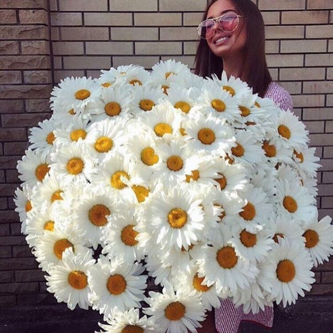 Букет из больших ромашек