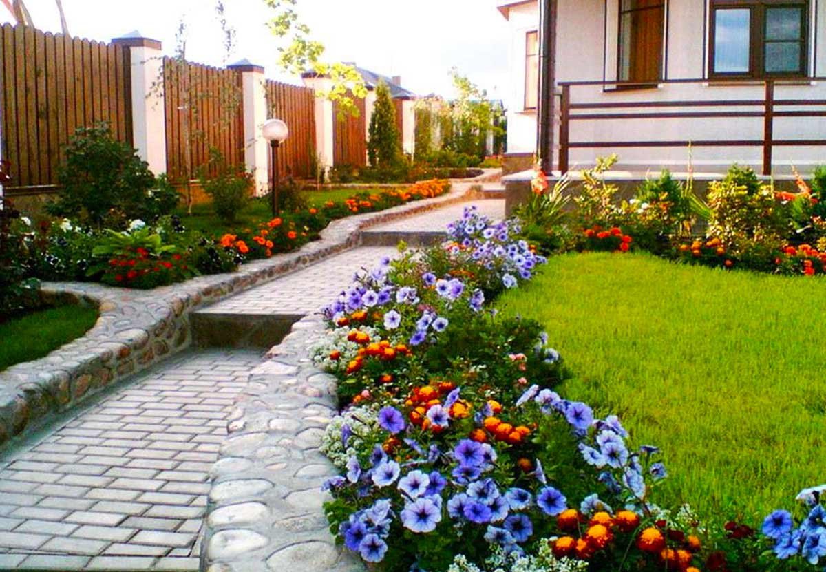Эшшольция агератум рабатка