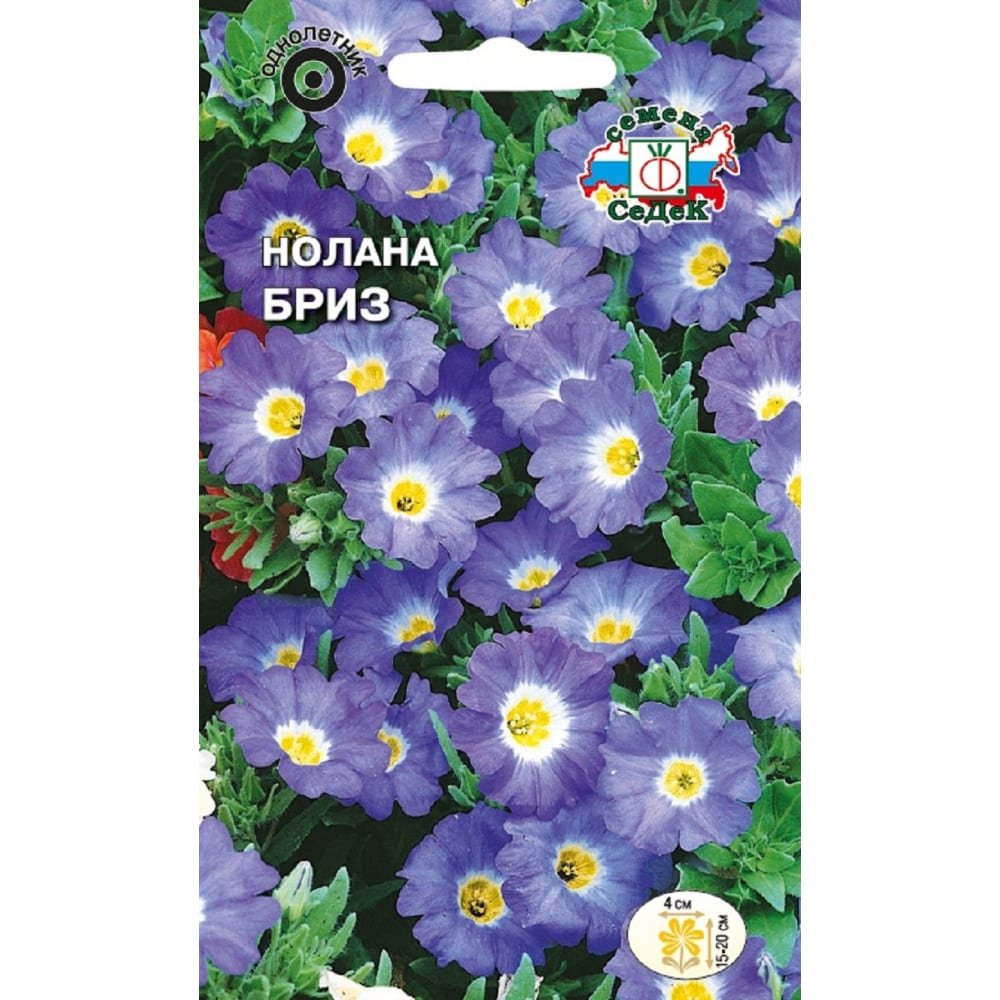 Немофила смесь окрасок
