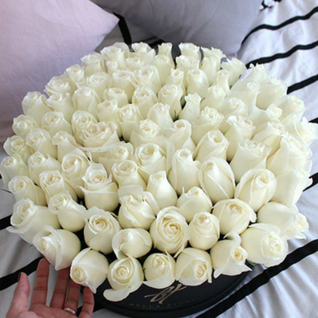 Большой букет любимой. Огромный букет белых роз. Шикарный букет белых роз. Красивый букет белых роз. Красивый букет из белых цветов.
