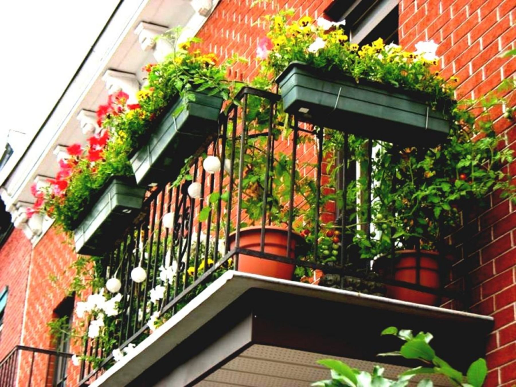 Balcony gardening. Озеленение балкона. Украшение балкона цветами. Вертикальное Озеленение балкона. Цветник на балконе.