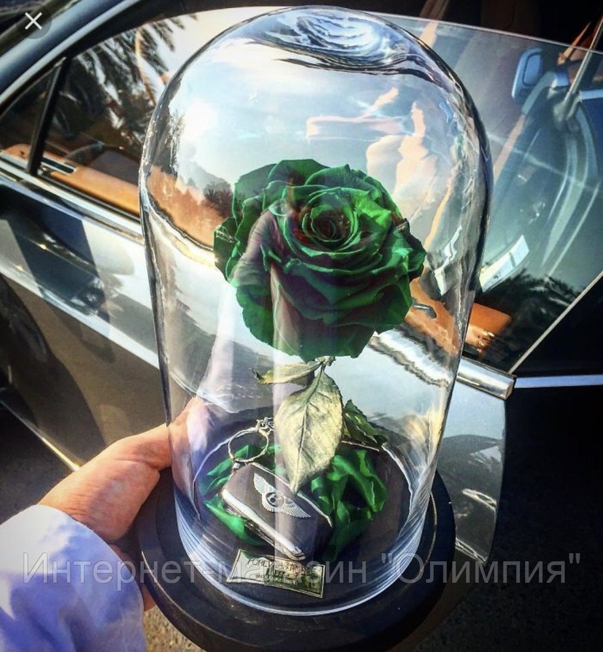 Красавица и чудовище роза в колбе
