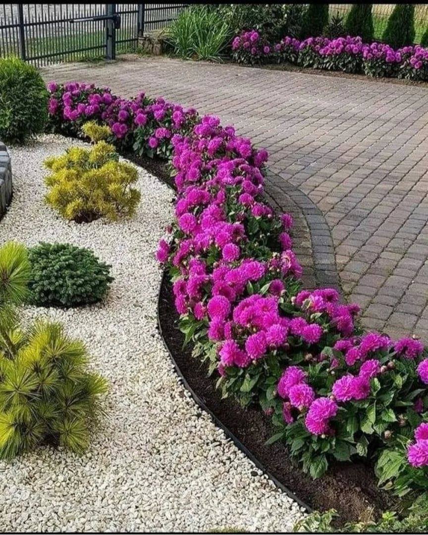 Орнаментные клумбы