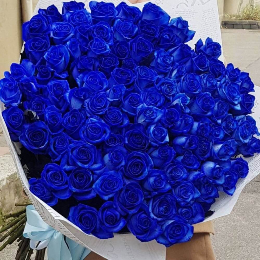 Крашеные синие розы