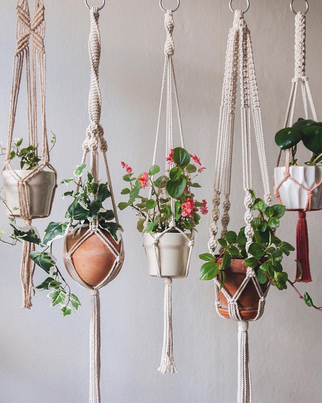 Macrame Plant Hanger
