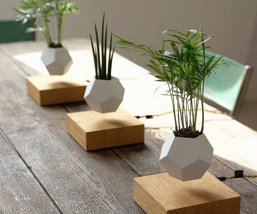 Levitating Plant Magnetic
