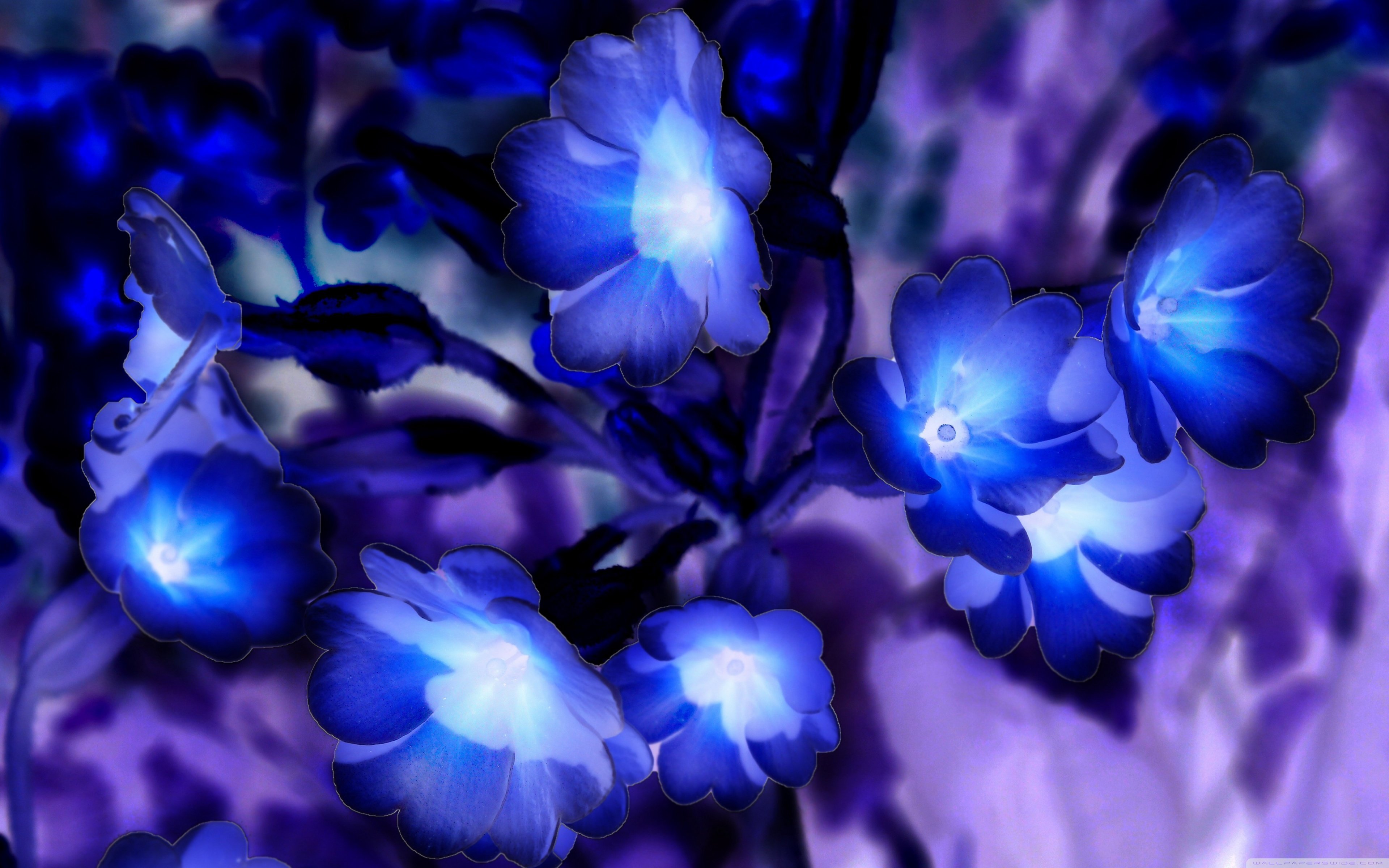 Стеклянный синий цветок. Голубые цветы. Красивый синий цвет. Синие цветочки. Красивые синие цветы.
