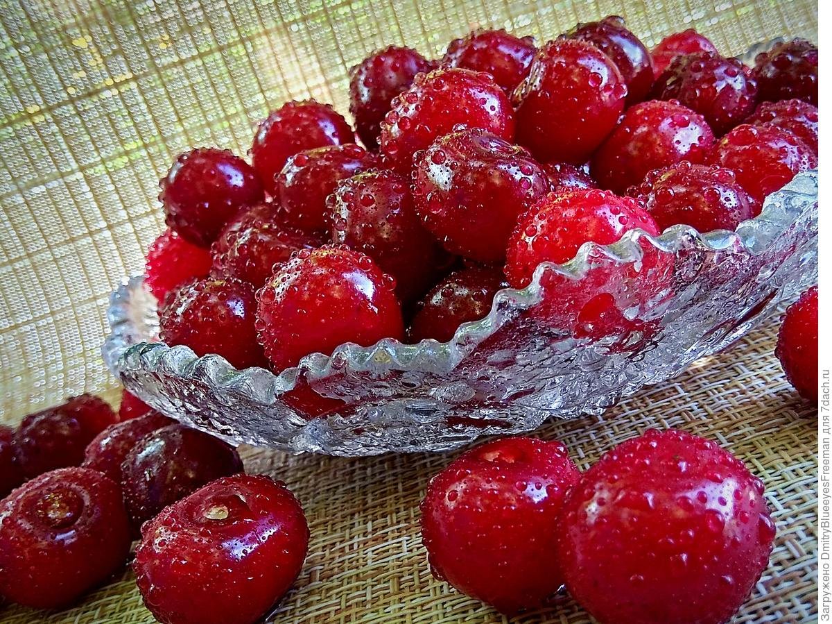 Янтарная сладость с вишней Камамела