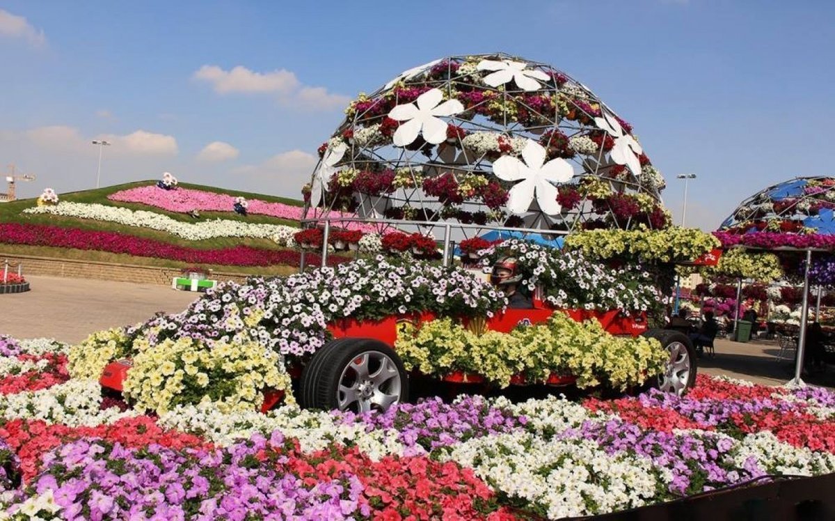 Dubai Miracle Garden амфитеатр