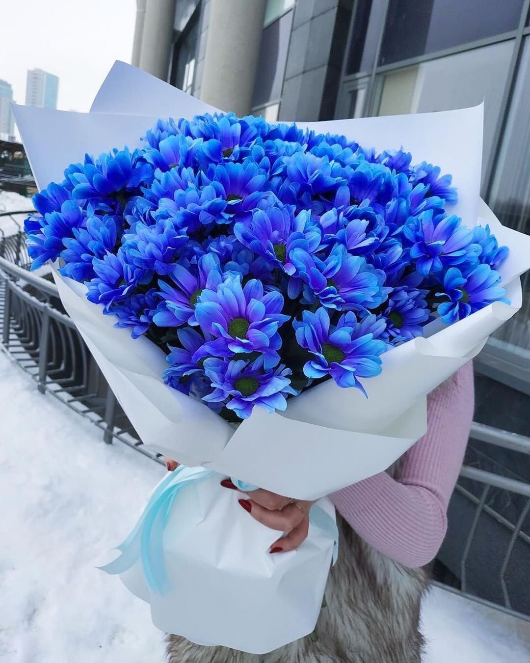 Букет голубых хризантем Флаверу
