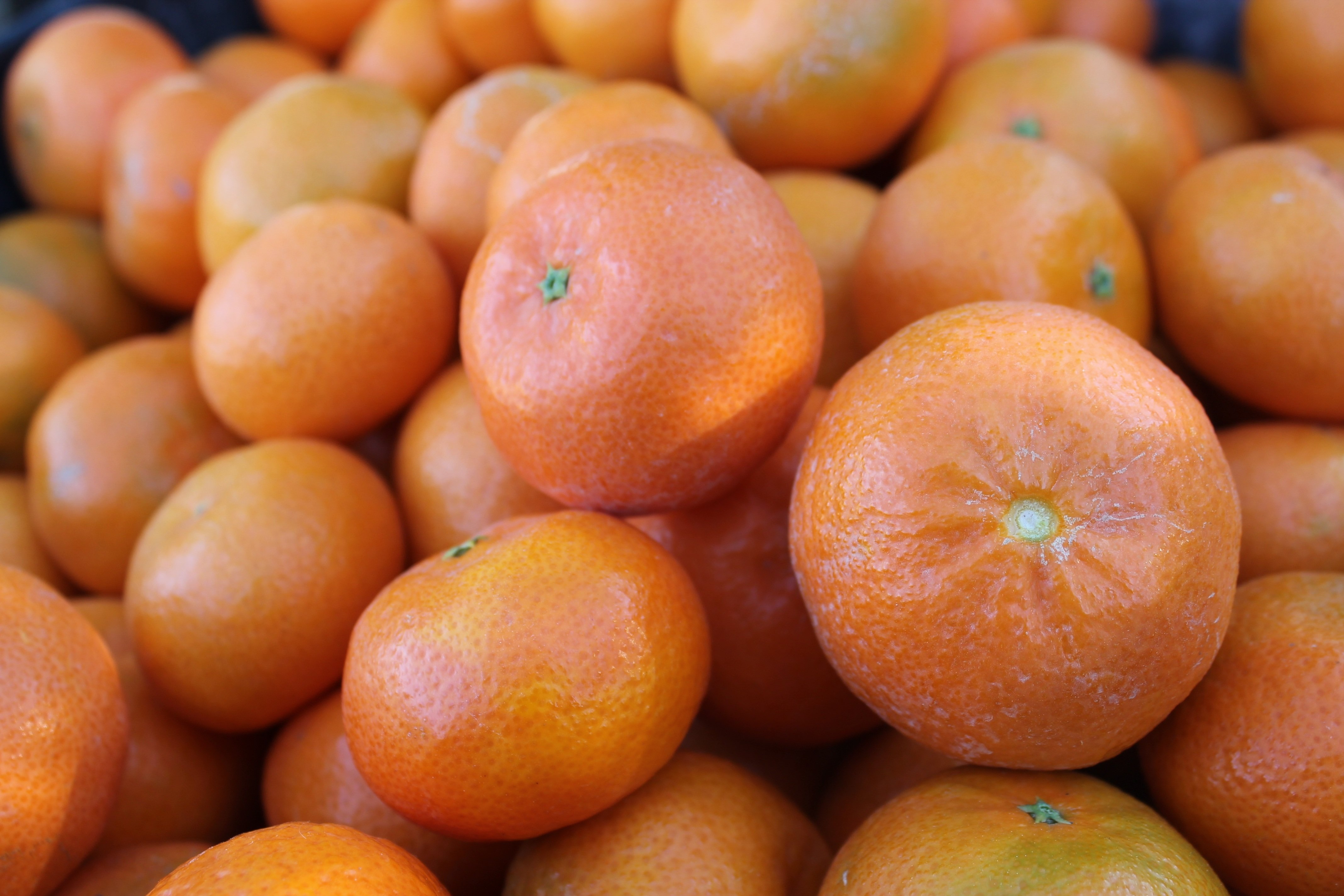 Мандарина вход. Мандарины Клементины Марокко. Клементин мандарин кумкват. Кумкват оранжевый (апельсин).