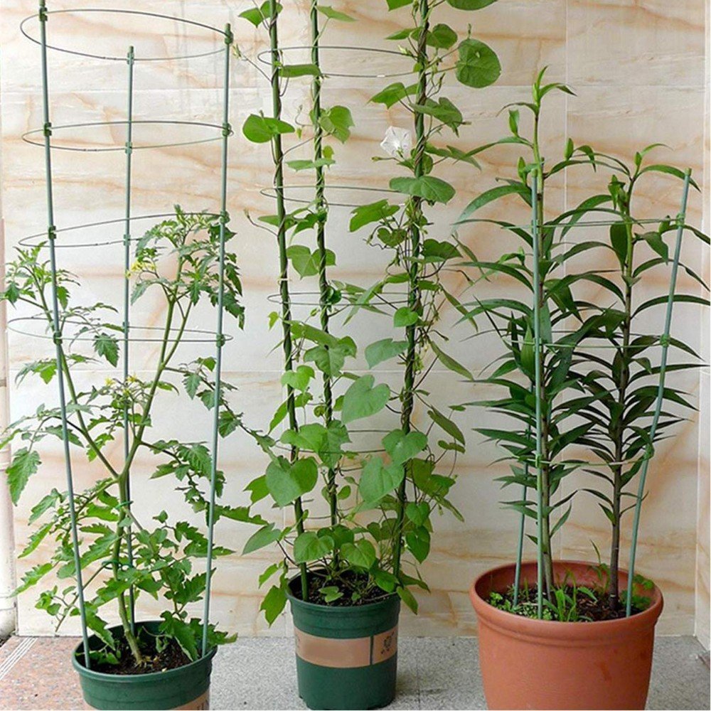 Опора для растений Лиана Plant Holder