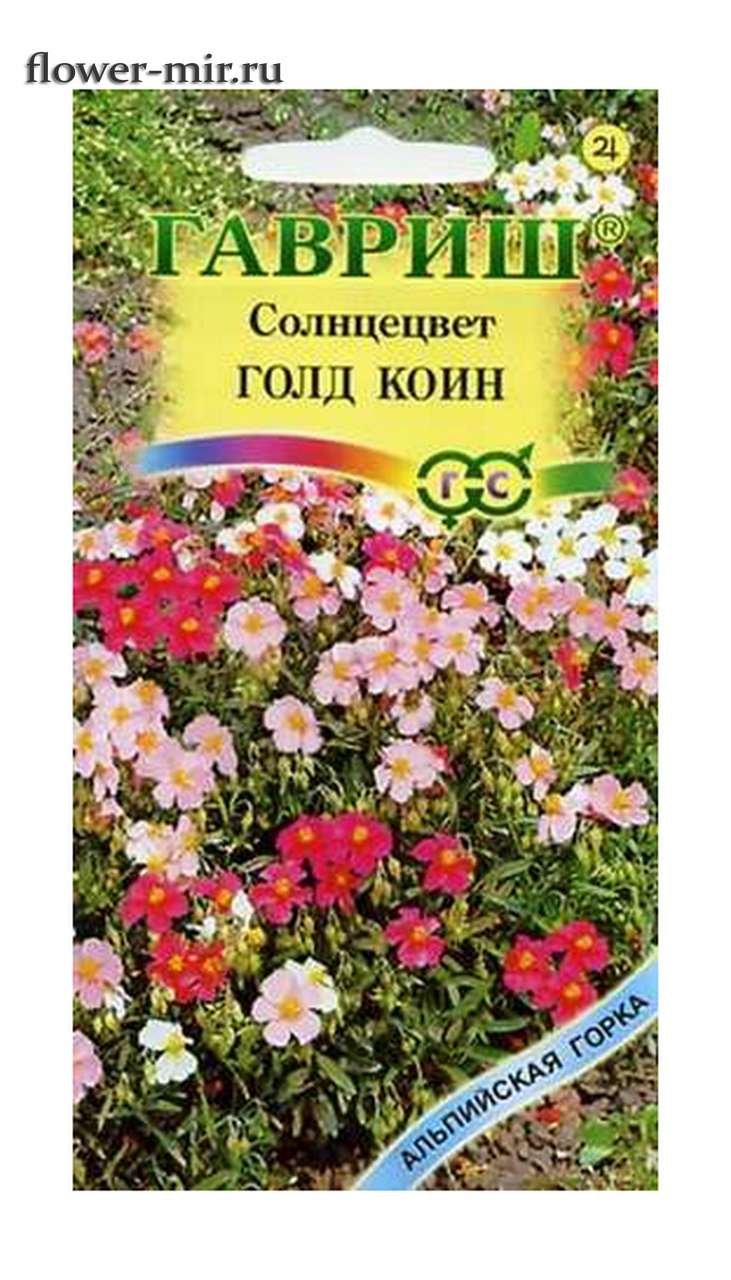Солнцецвет монетолистный Голд коин