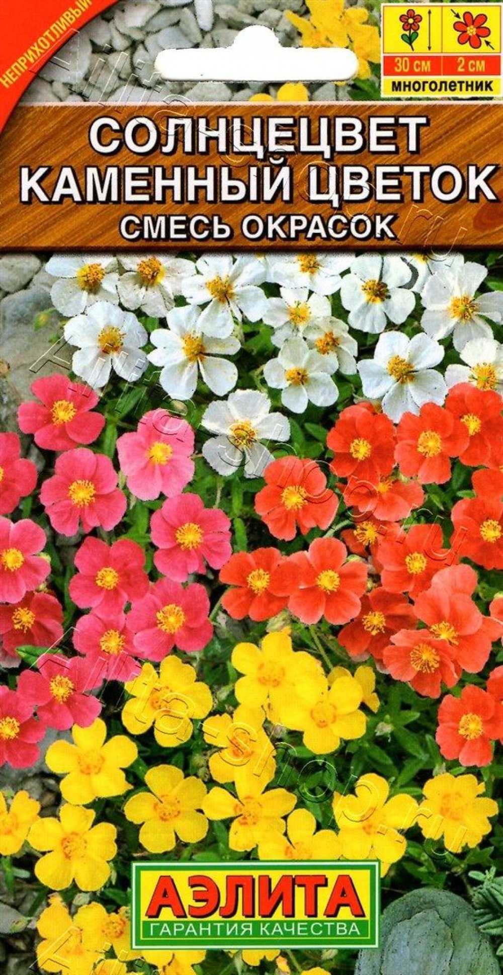 Helianthemum vesicarium