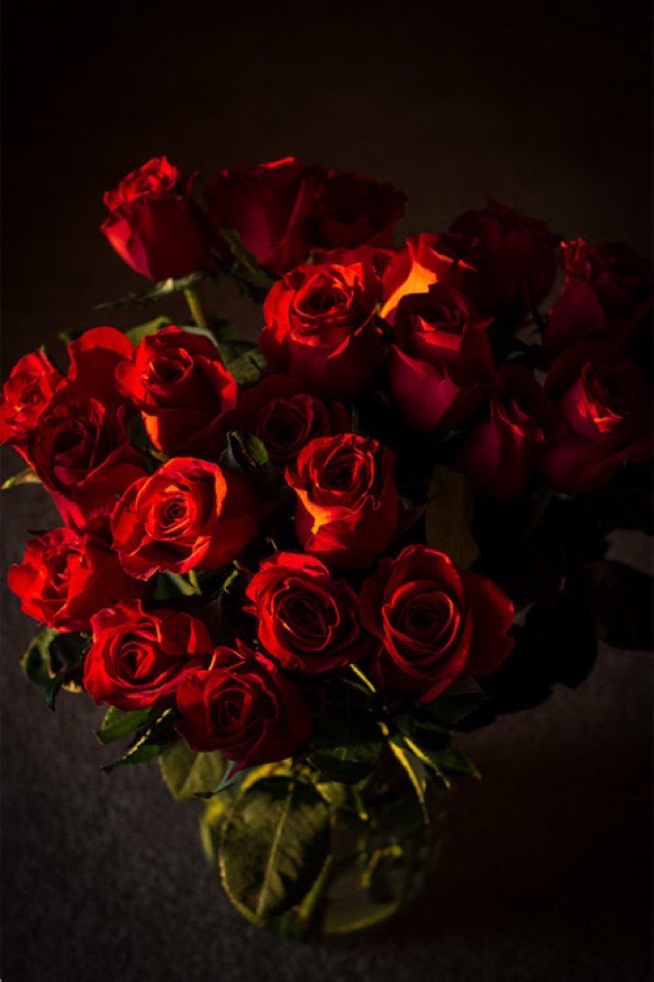 Букет роз красных ночью