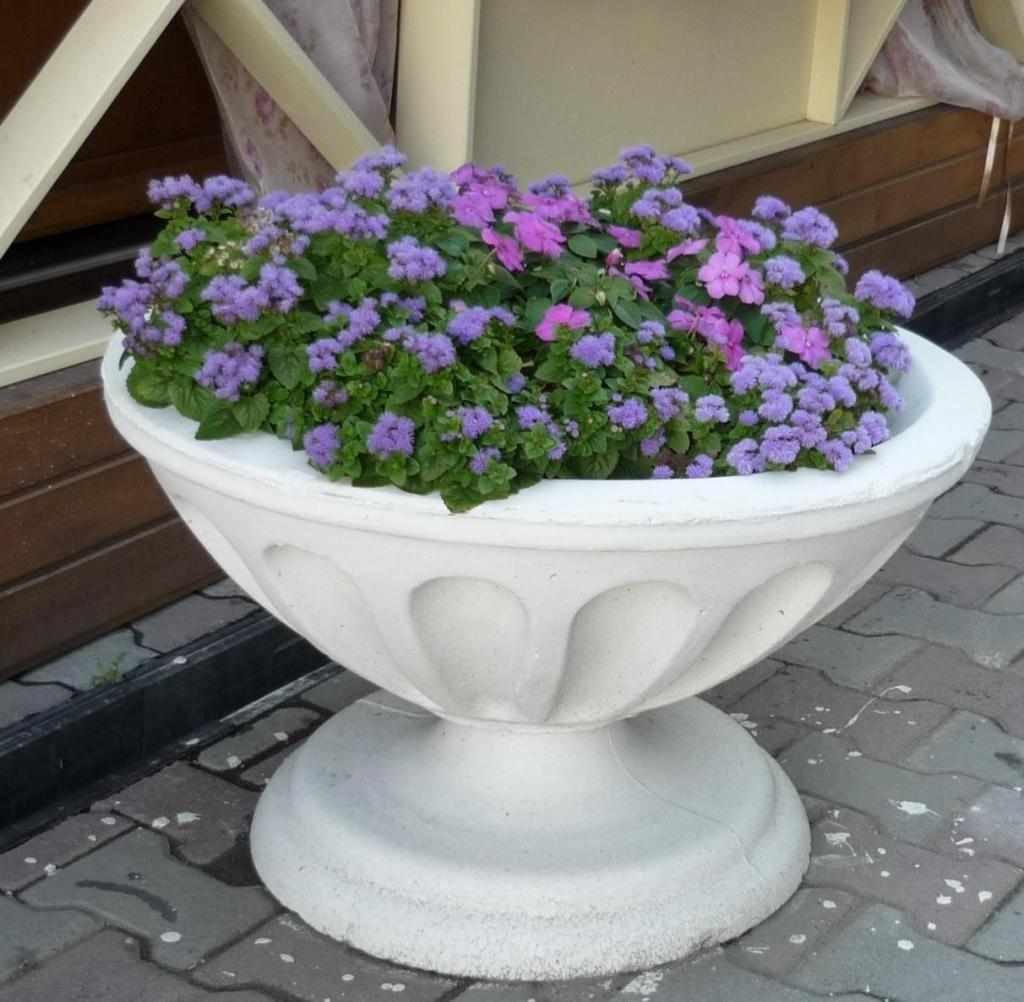 Вазон с цветами