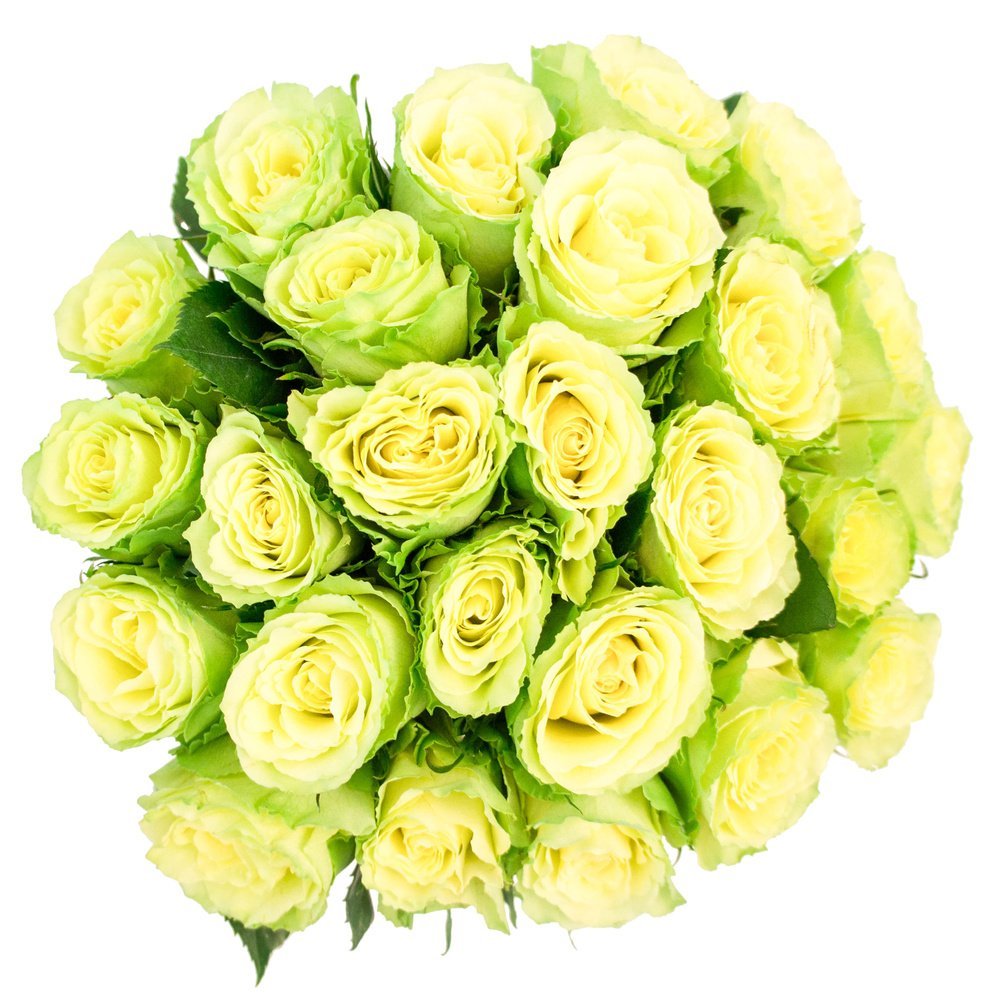 Роза Лимбо букет
