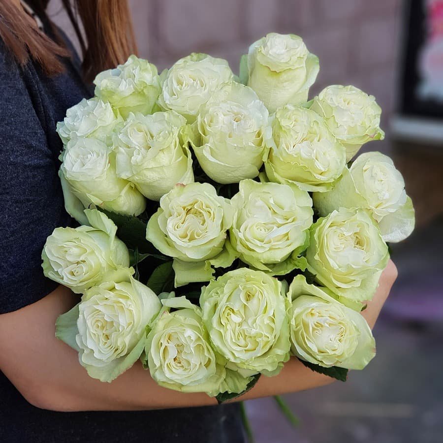 Роза Wasabi Эквадор