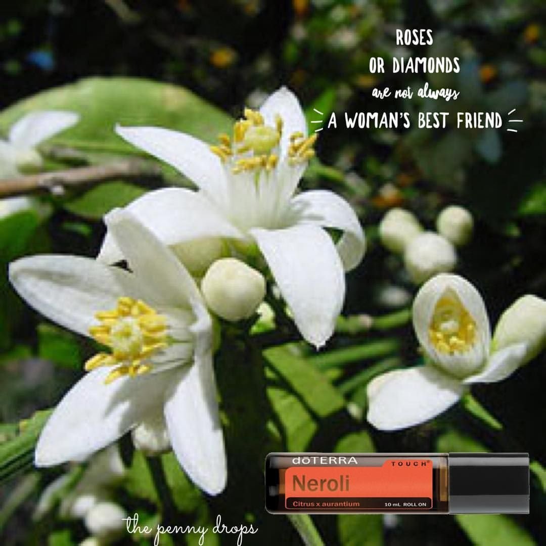 Xanthos Orange Blossom