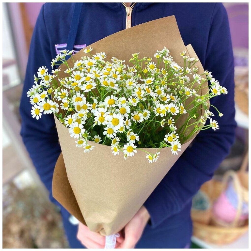 Цветок Tanacetum Garden