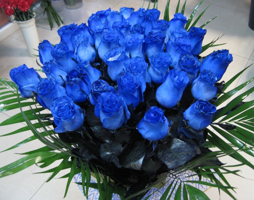 Сонник подарили букет. Голубые розы Сантори. Букет синих роз.
