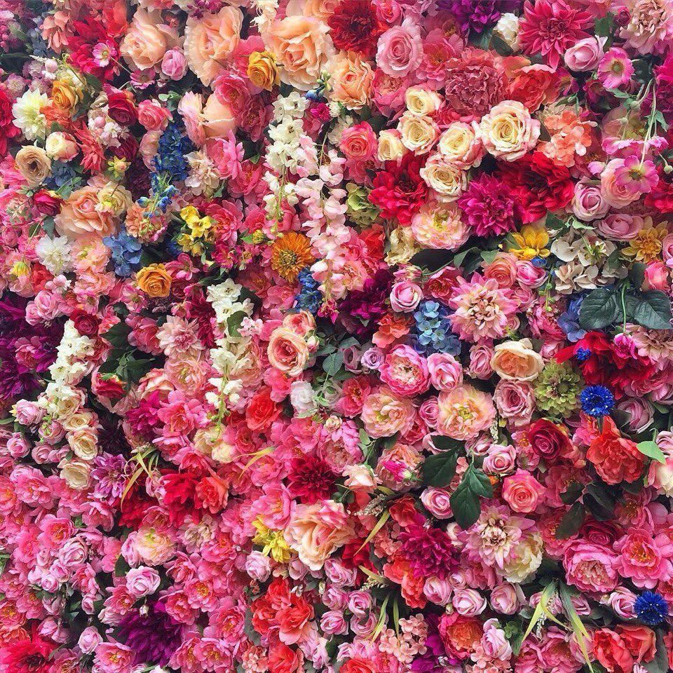 Очень много цветов