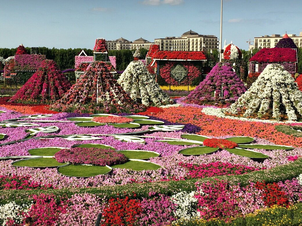 Dubai Miracle Garden амфитеатр