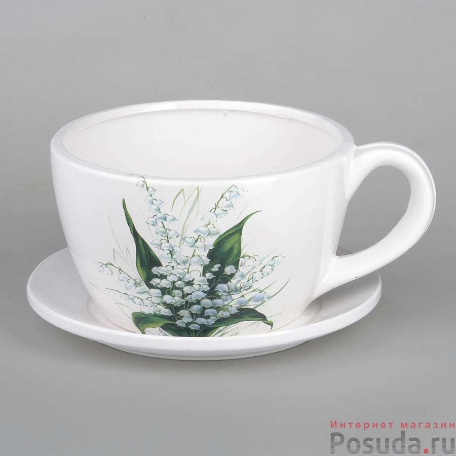 Plant Saucer