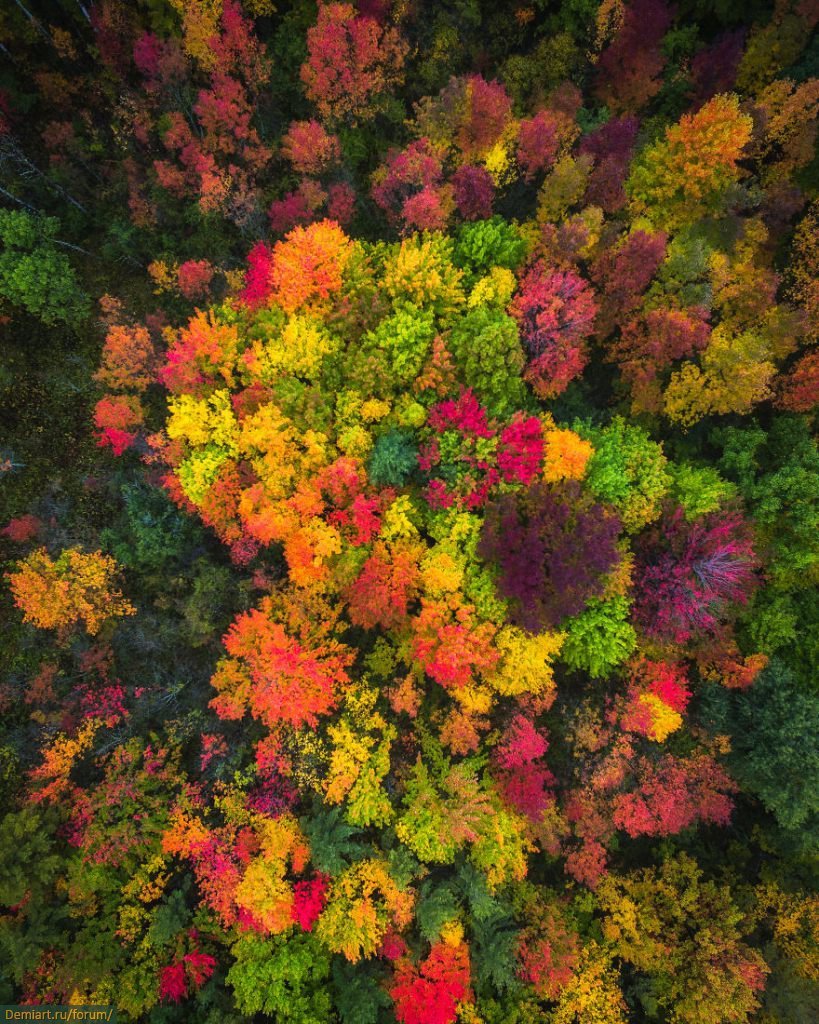 Краски осени
