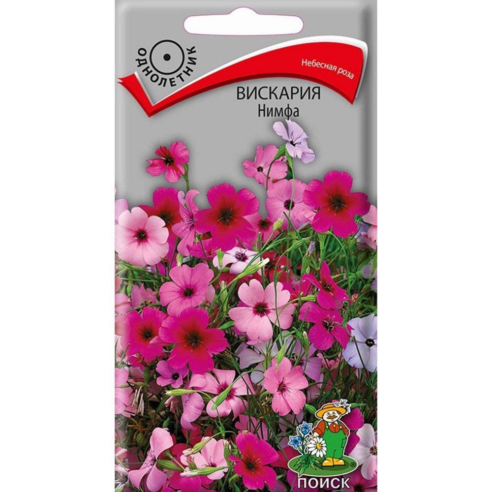 Лихнис Альпийский многолетний