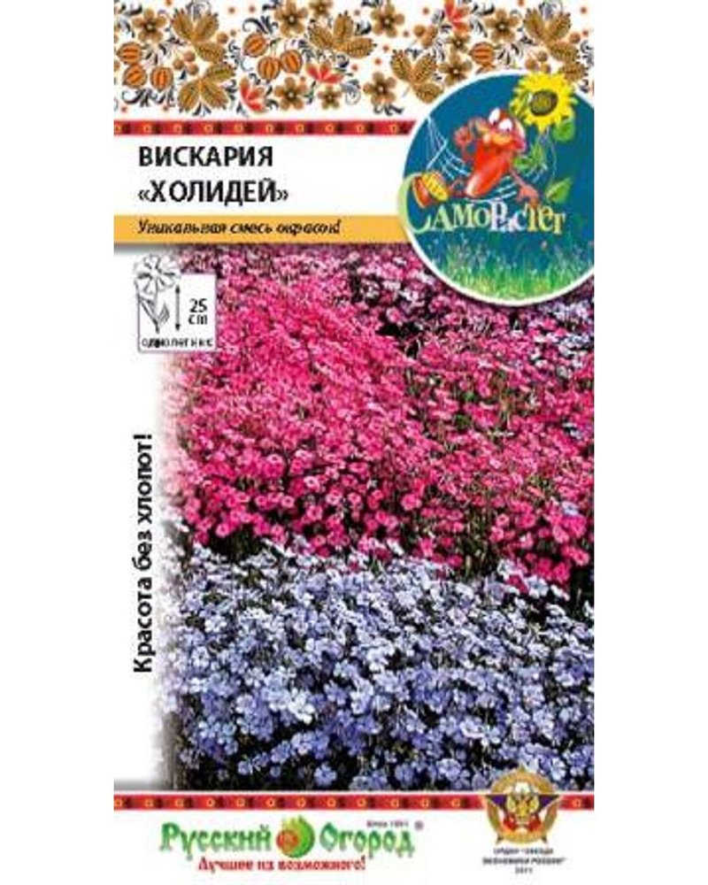 Гвоздика Смолка клейкая