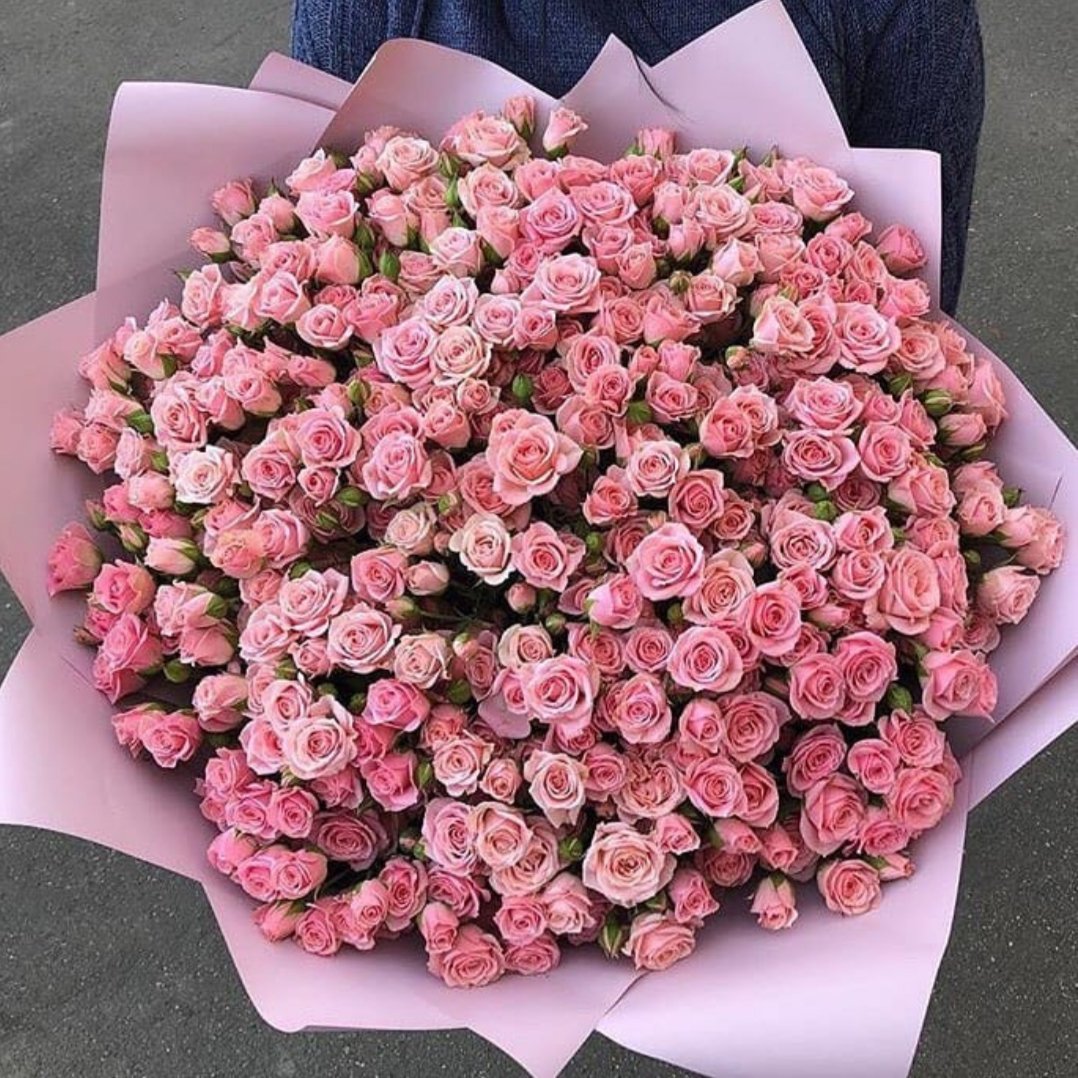 Кустовые розы Монобукет