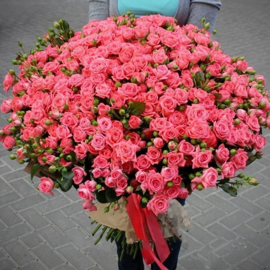 Belinda Pink кустовая роза